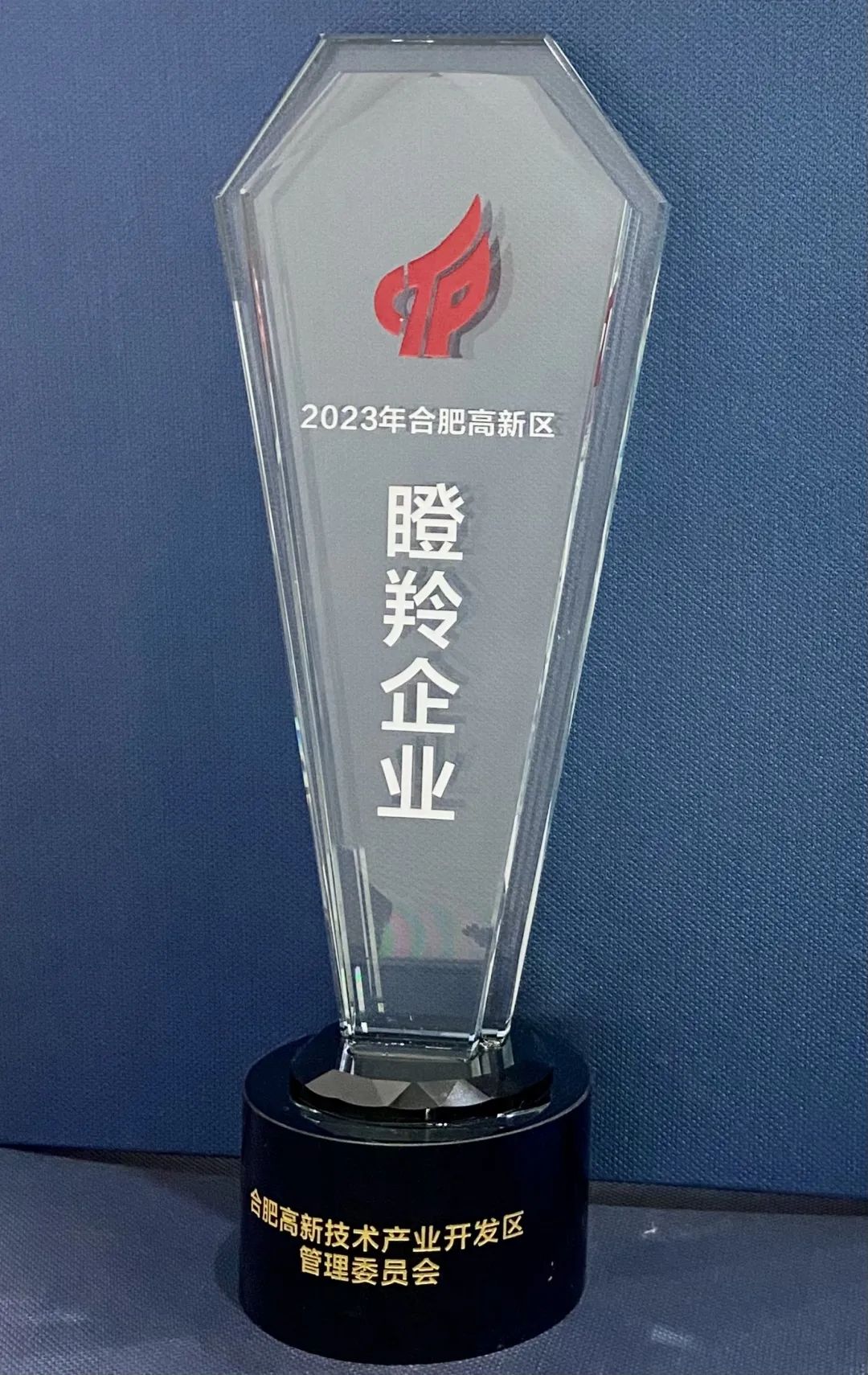 ʱ(й)ٷվ