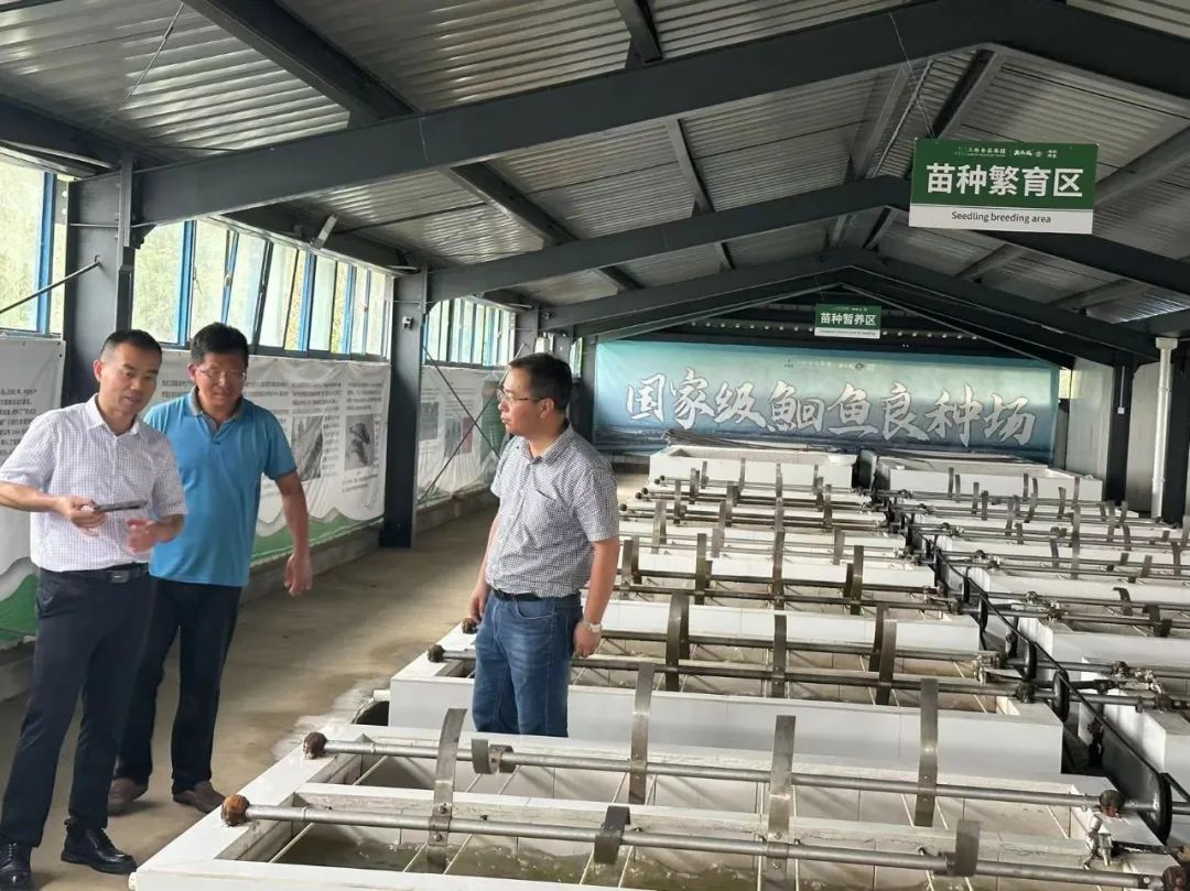 尊龙凯时·(中国区)官方网站