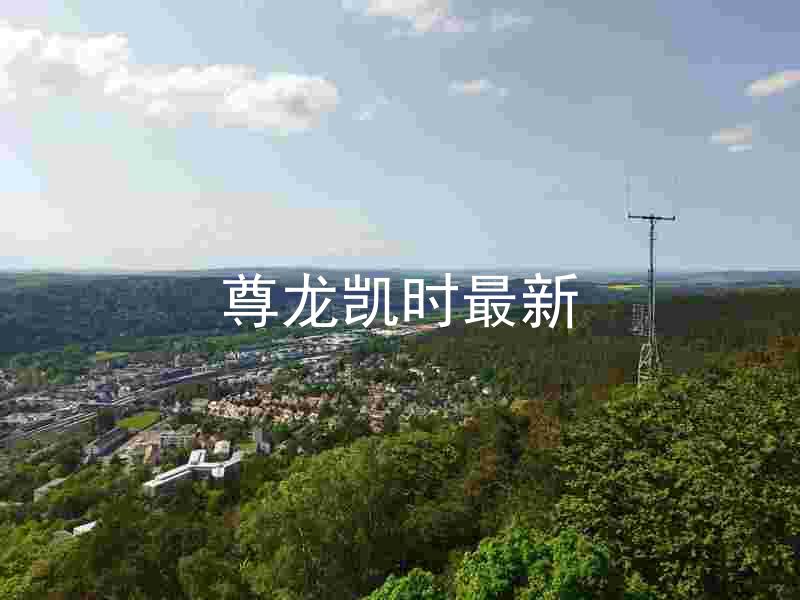 尊龙凯时最新