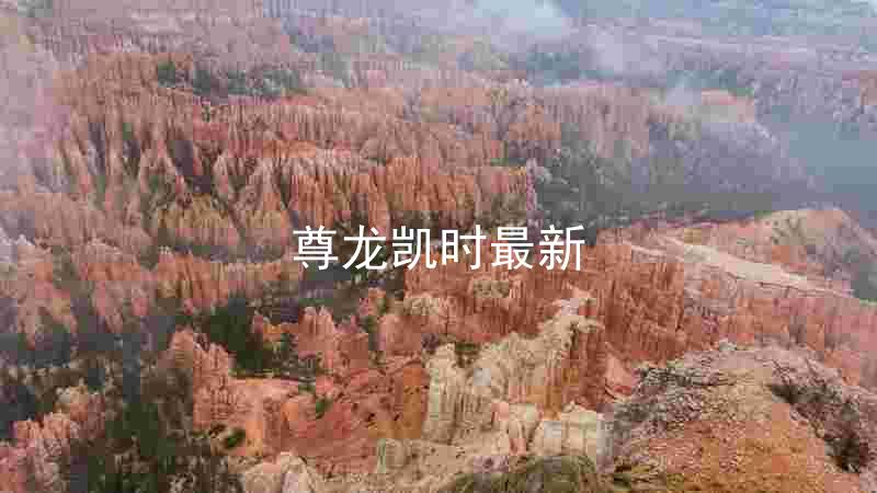 尊龙凯时最新