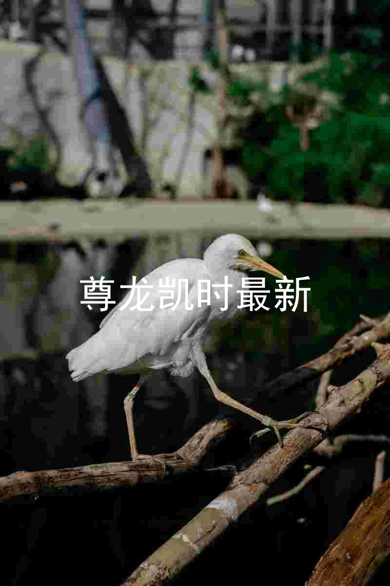 尊龙凯时最新
