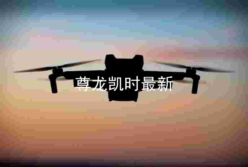尊龙凯时最新