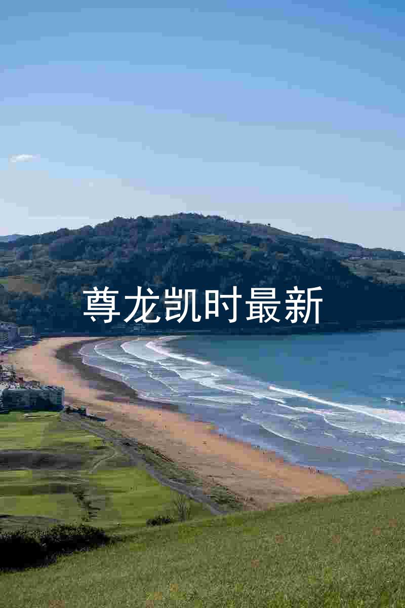 尊龙凯时最新