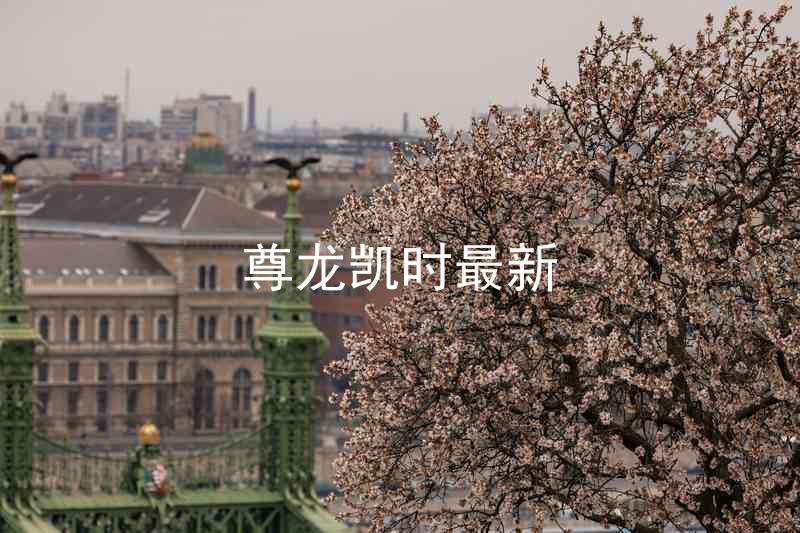 尊龙凯时最新