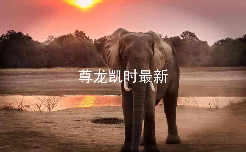 尊龙凯时最新
