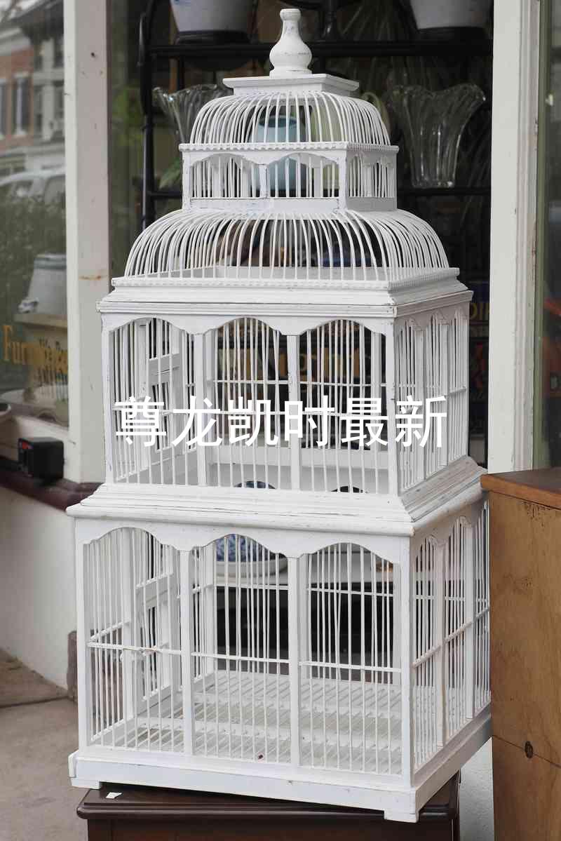 尊龙凯时最新