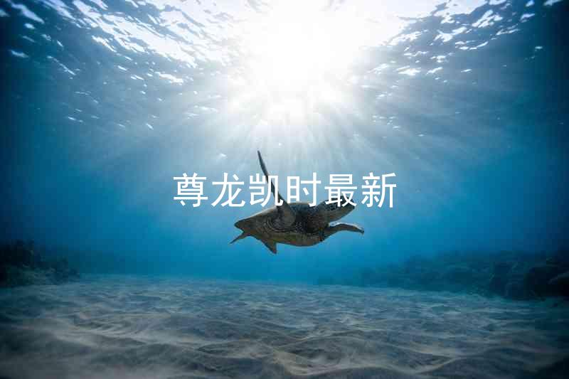 尊龙凯时最新