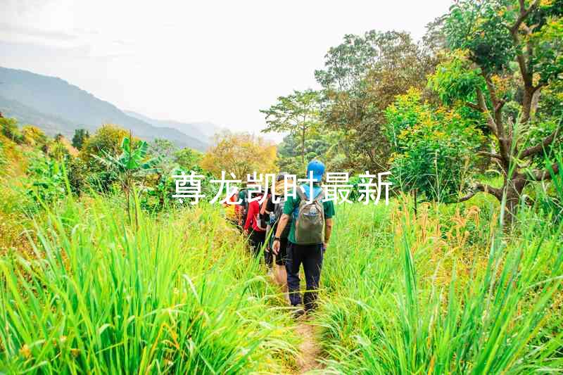 尊龙凯时最新